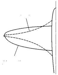 Wing plan shape