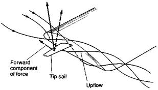 Wing-tip sails or feathers