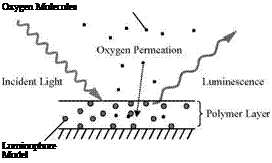 Подпись: Oxygen Molecules Luminophore Model 