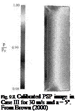 Подпись: Fig. 9.8. Calibrated PSP image in Case III for 30 m/s and a = 5o. From Brown (2000) 